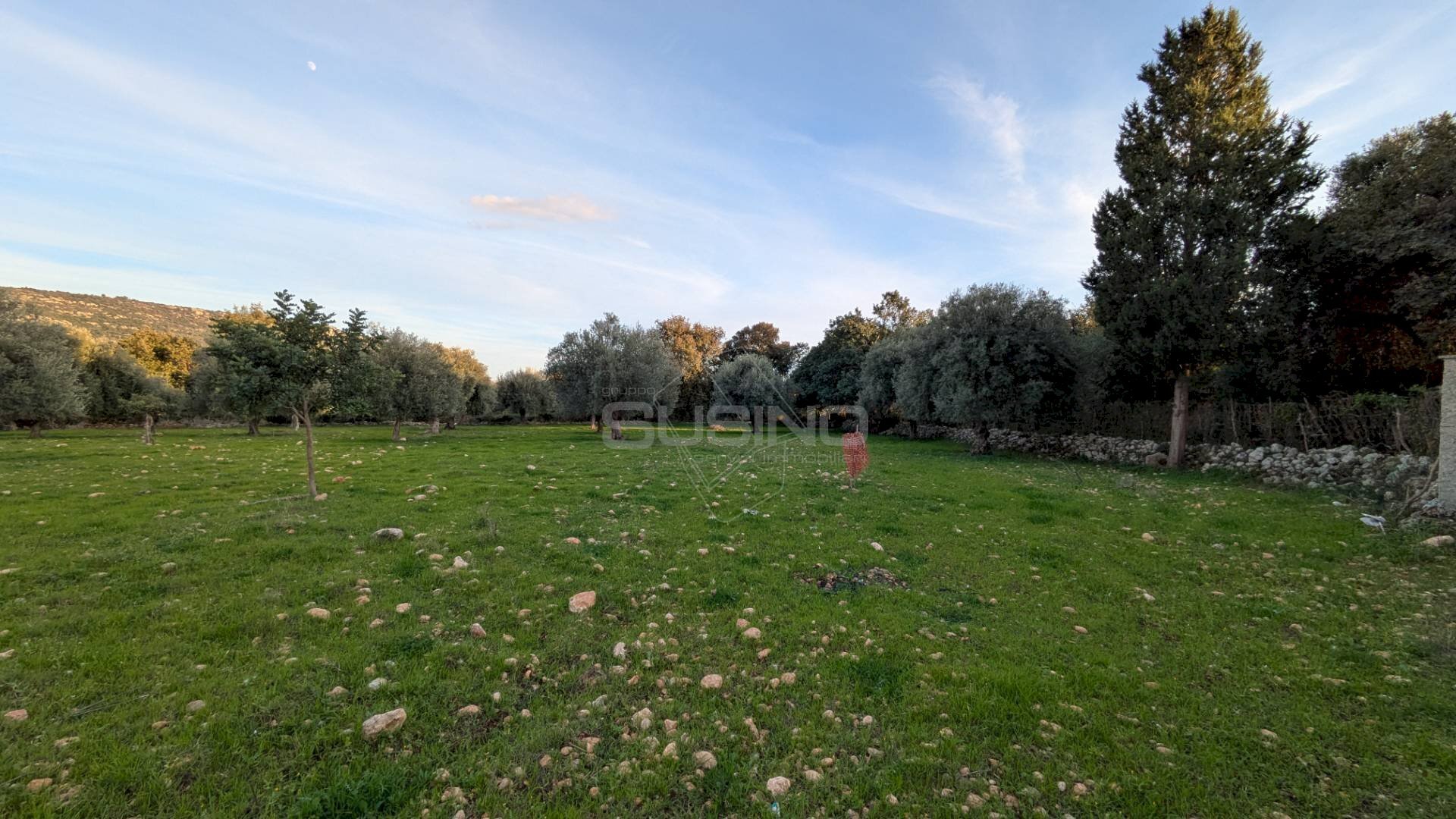 Foto 1 - Agricultural land CONTRADA VILLA CESAREA
 
SNC, Sortino - photo 1