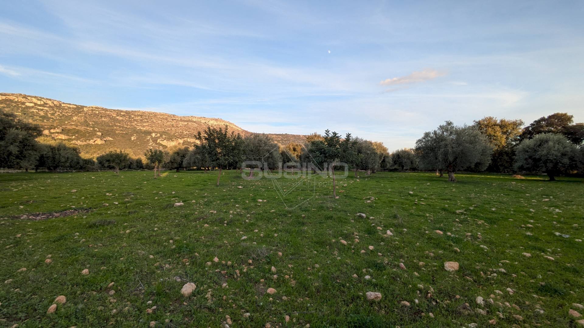 Foto 3 - Agricultural land CONTRADA VILLA CESAREA
 
SNC, Sortino - photo 3