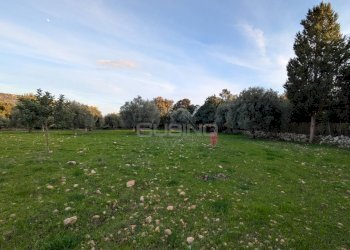 Foto 1 - Terreno agricolo CONTRADA VILLA CESAREA
SNC, Sortino - foto 1