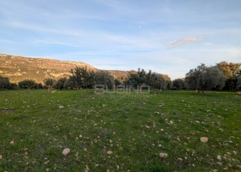 Foto 3 - Terreno agricolo CONTRADA VILLA CESAREA
SNC, Sortino - foto 3