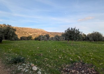 Foto 4 - Terreno agricolo CONTRADA VILLA CESAREA
SNC, Sortino - foto 4