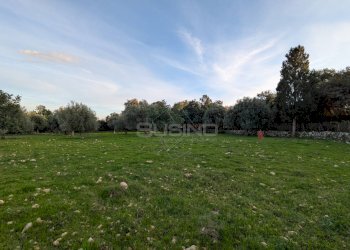 Foto 5 - Terreno agricolo CONTRADA VILLA CESAREA
SNC, Sortino - foto 5