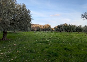 Foto 6 - Terreno agricolo CONTRADA VILLA CESAREA
SNC, Sortino - foto 6