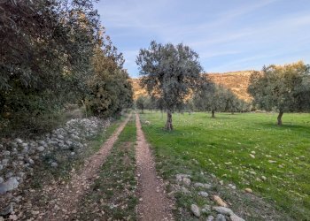 Foto 7 - Terreno agricolo CONTRADA VILLA CESAREA
SNC, Sortino - foto 7