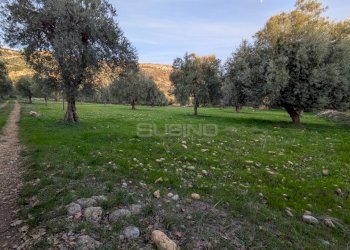 Foto 8 - Terreno agricolo CONTRADA VILLA CESAREA
SNC, Sortino - foto 8