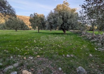 Foto 9 - Terreno agricolo CONTRADA VILLA CESAREA
SNC, Sortino - foto 9