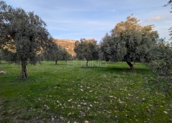 Foto 10 - Terreno agricolo CONTRADA VILLA CESAREA
SNC, Sortino - foto 10