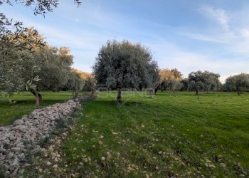 Foto 11 - Terreno agricolo CONTRADA VILLA CESAREA
SNC, Sortino - foto 11