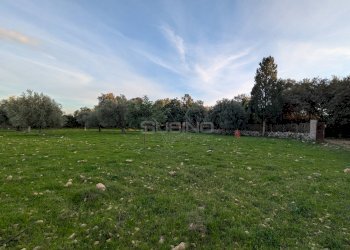 Foto 14 - Terreno agricolo CONTRADA VILLA CESAREA
SNC, Sortino - foto 14