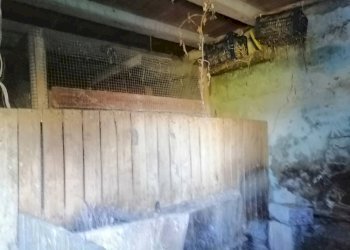 Foto 7 - Appartamento Contrada Moricozzi
 
16, Apiro - foto 7