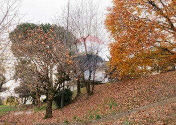 Giardino - Villa via portolino
 
22, Bulciago - foto 11