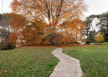 Giardino - Villa via portolino
 
22, Bulciago - foto 13