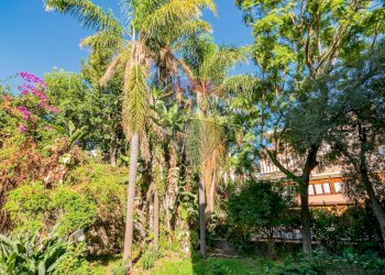 Giardino - Appartamento via Federico De Roberto, Aci Castello - foto 24