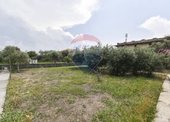 Giardino - Casa indipendente Via Dell' Euforbia
 
11, Catania - foto 8