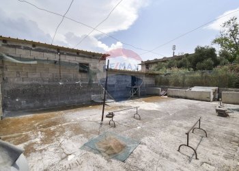 Terrazza - Casa indipendente Via Dell' Euforbia
 
11, Catania - foto 11