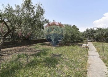 Giardino - Casa indipendente Via Dell' Euforbia
 
11, Catania - foto 13