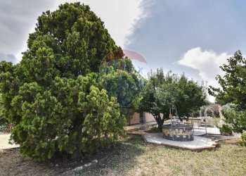 Giardino - Casa indipendente Via Dell' Euforbia
 
11, Catania - foto 16