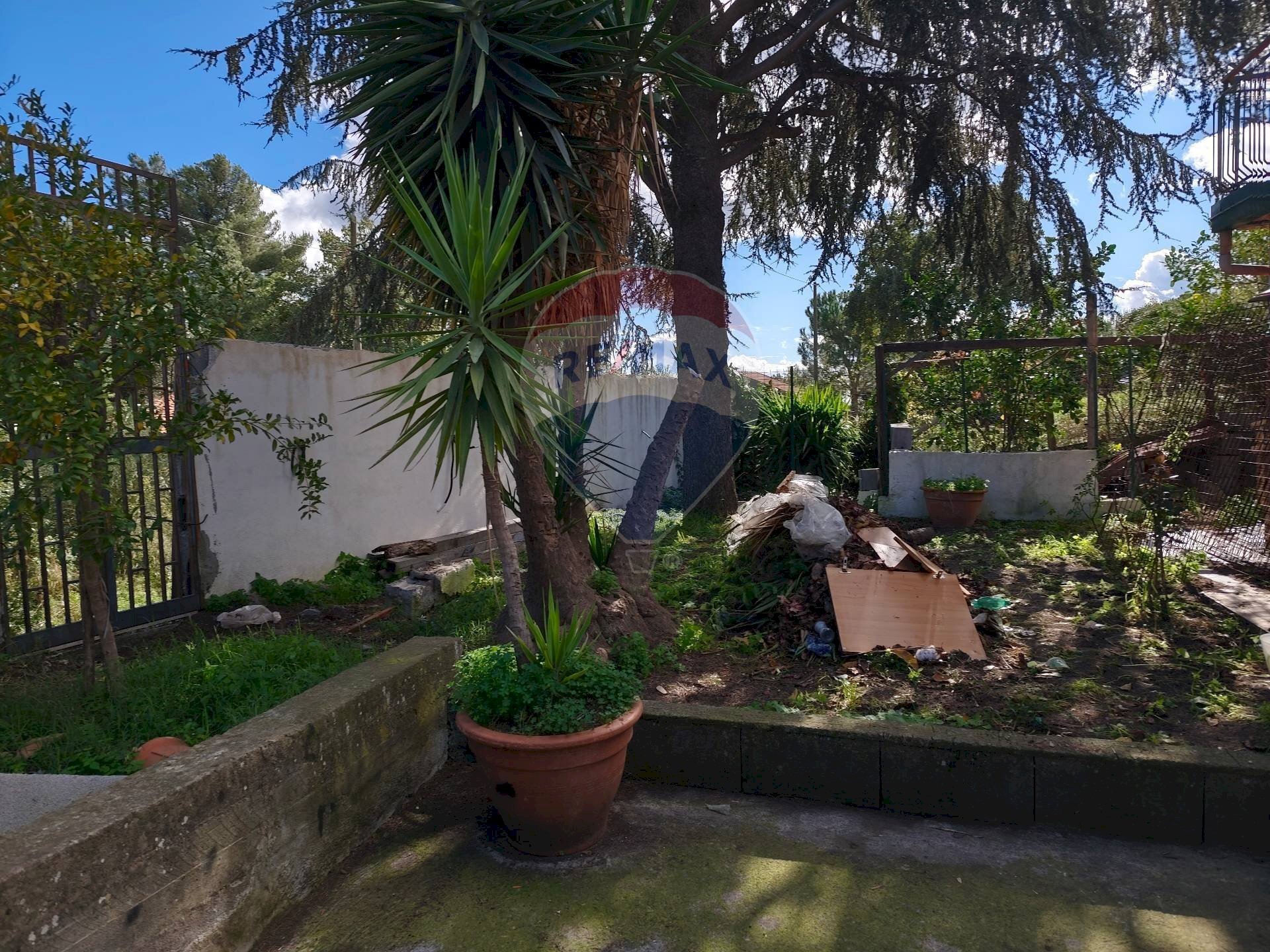 Giardino - Villa paladino
 
6, Viagrande - foto 2