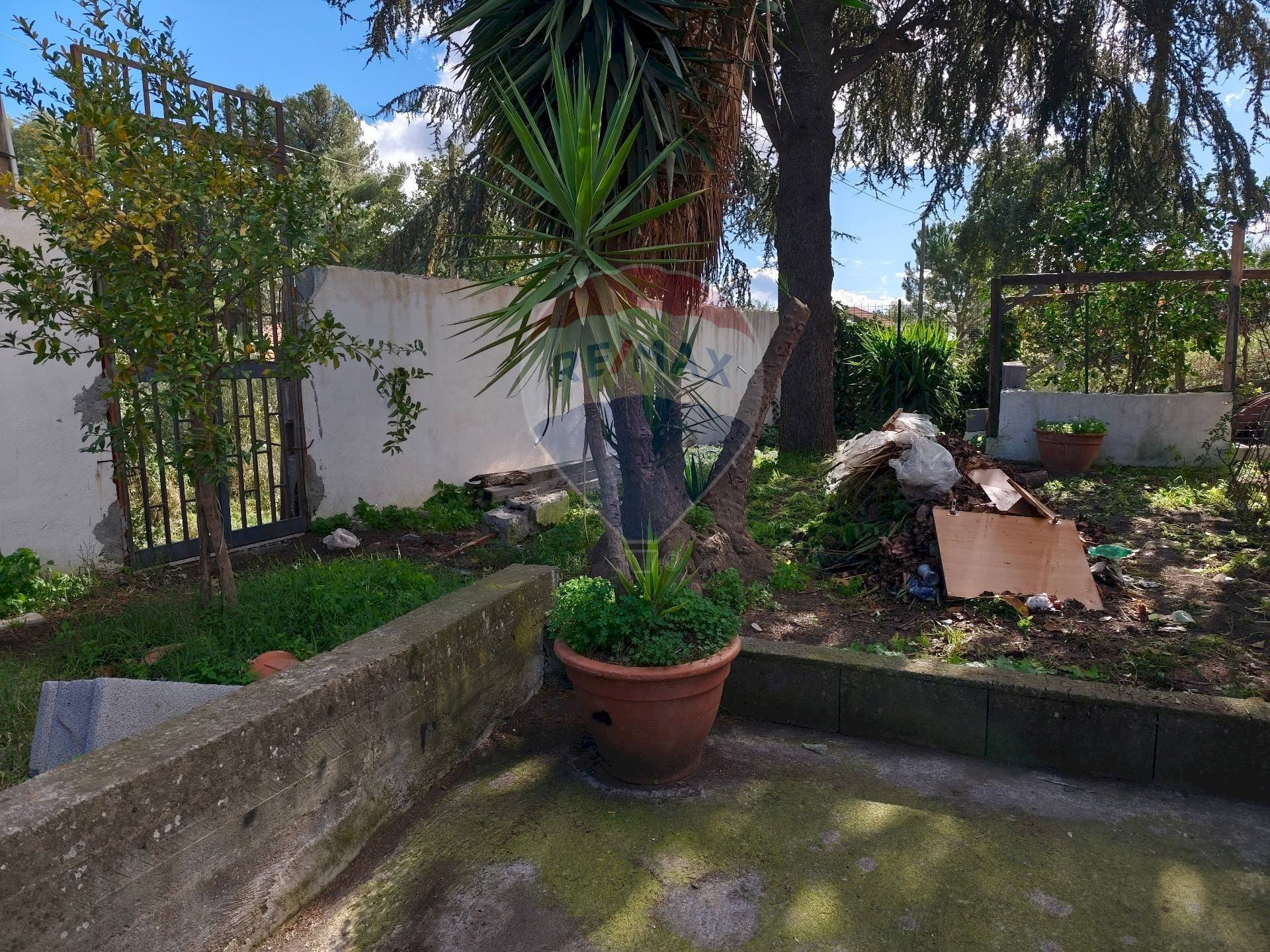 Giardino - Villa paladino
 
6, Viagrande - foto 3