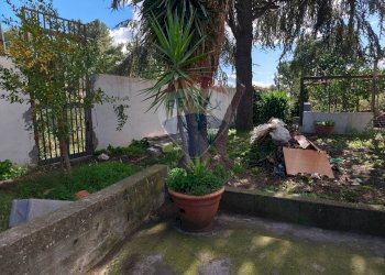 Giardino - Villa paladino
 
6, Viagrande - foto 3