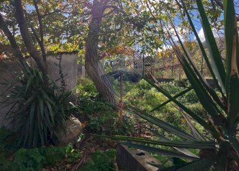 Giardino - Villa paladino
 
6, Viagrande - foto 33