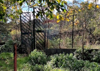 Giardino - Villa paladino
 
6, Viagrande - foto 34