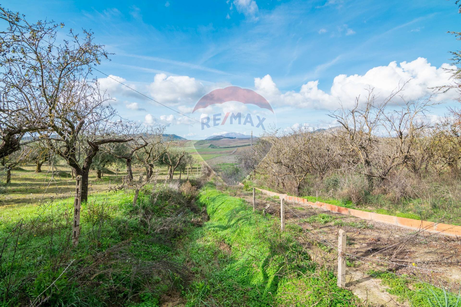 Vista delle montagne - Terreno agricolo contrada colla sp 25, Piazza Armerina - foto 1
