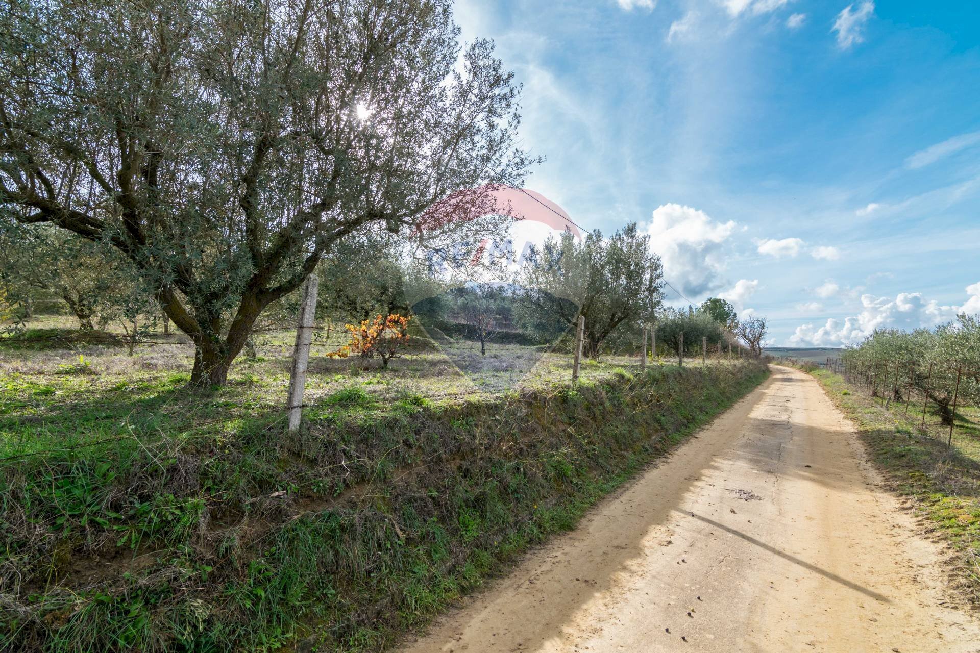 Giardino - Terreno agricolo contrada colla sp 25, Piazza Armerina - foto 2