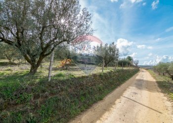 Giardino - Terreno agricolo contrada colla sp 25, Piazza Armerina - foto 2
