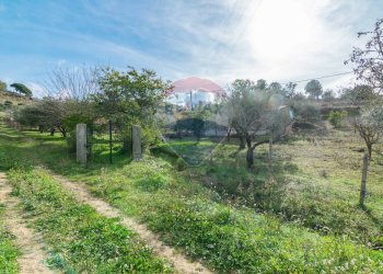 Giardino - Terreno agricolo contrada colla sp 25, Piazza Armerina - foto 5