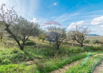 Giardino - Terreno agricolo contrada colla sp 25, Piazza Armerina - foto 6