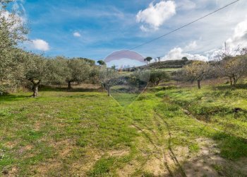 Giardino - Terreno agricolo contrada colla sp 25, Piazza Armerina - foto 25