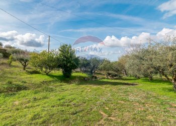 Giardino - Terreno agricolo contrada colla sp 25, Piazza Armerina - foto 26