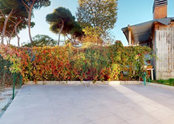 Terrazza - Shop Via Aurelia sud
 
125, Viareggio - photo 5