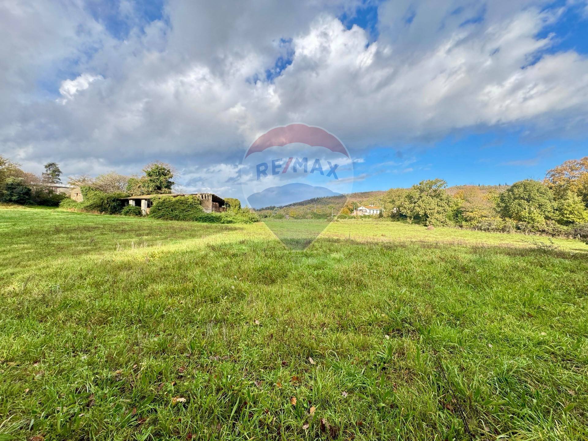 Giardino - Terreno edificabile Via Poggio Della Torre, Manziana - foto 3