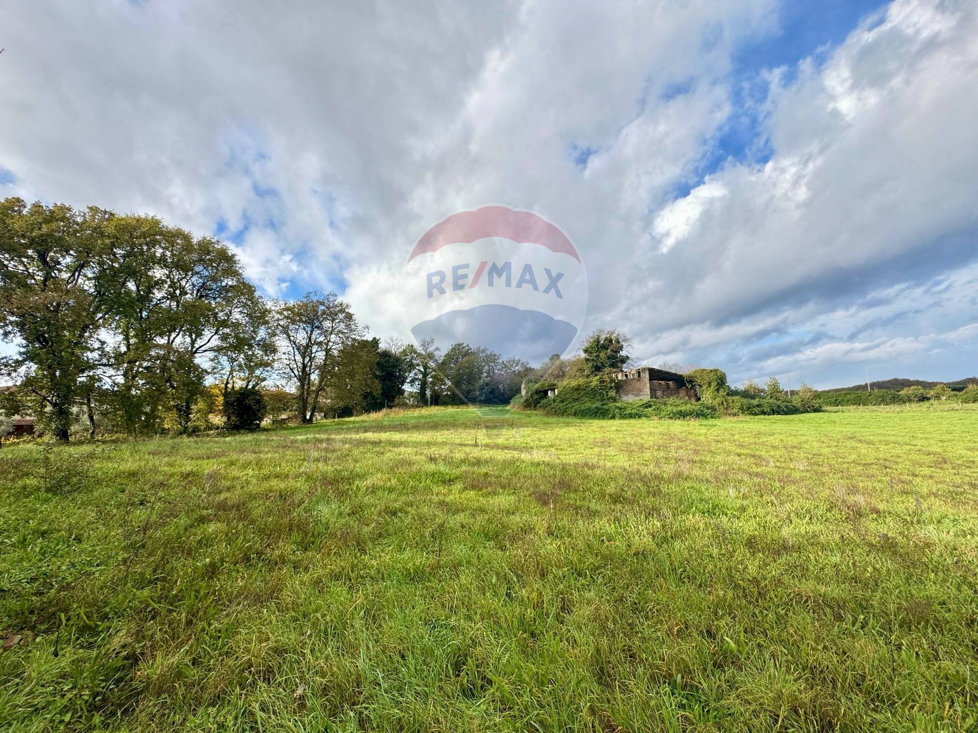 Giardino - Terreno edificabile Via Poggio Della Torre, Manziana - foto 2