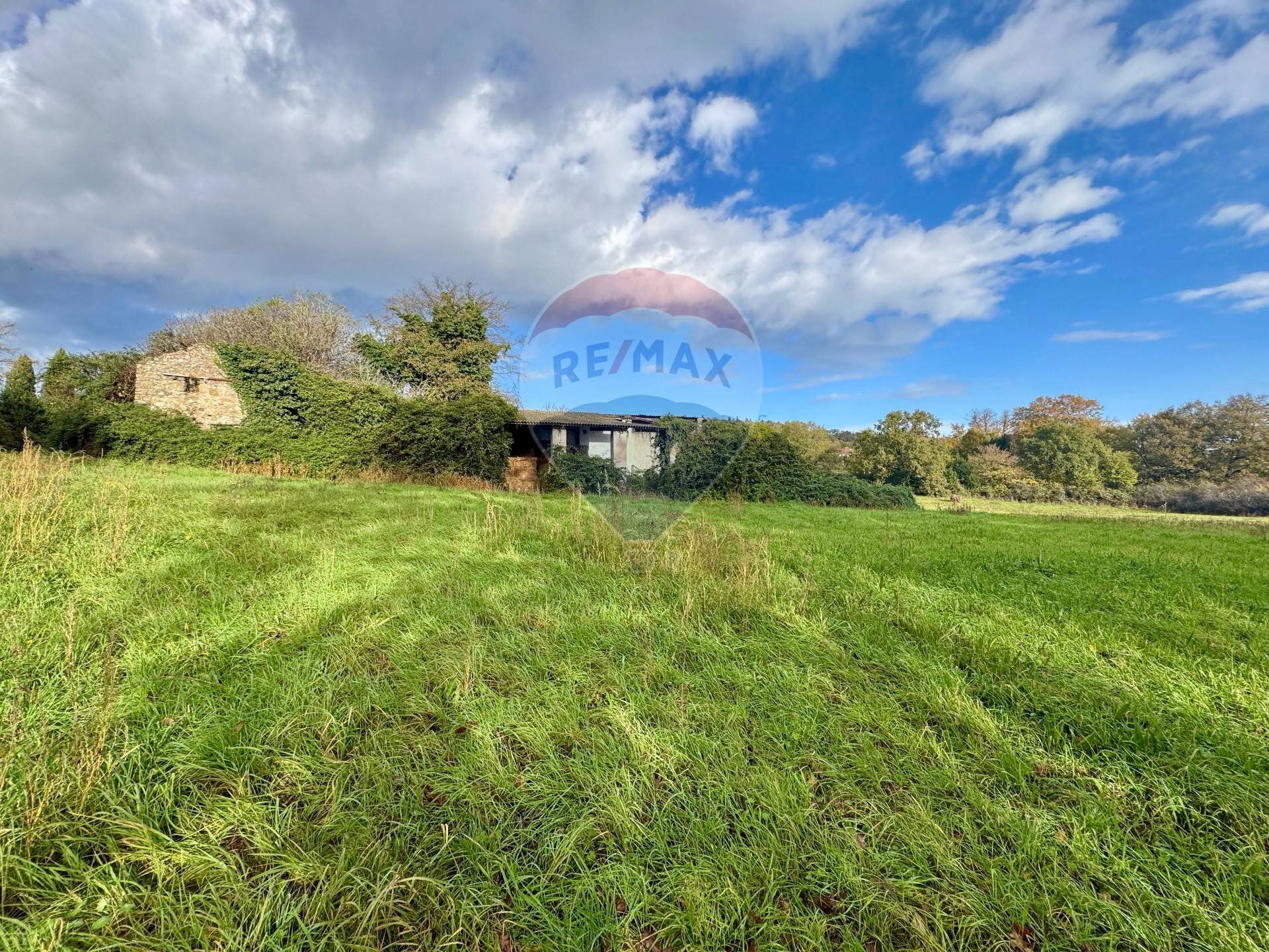 Giardino - Terreno edificabile Via Poggio Della Torre, Manziana - foto 1