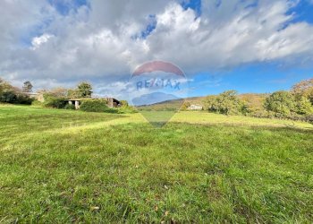 Giardino - Terreno edificabile Via Poggio Della Torre, Manziana - foto 1