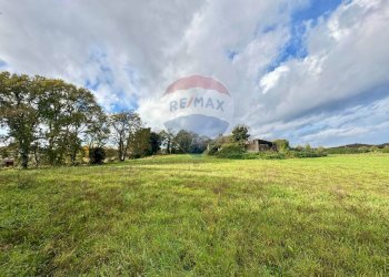 Giardino - Terreno edificabile Via Poggio Della Torre, Manziana - foto 2