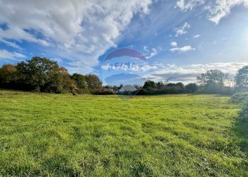 Giardino - Terreno edificabile Via Poggio Della Torre, Manziana - foto 3