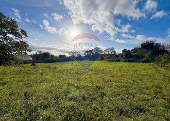 Giardino - Terreno edificabile Via Poggio Della Torre, Manziana - foto 4