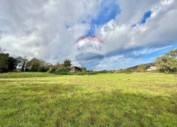 Giardino - Terreno edificabile Via Poggio Della Torre, Manziana - foto 5