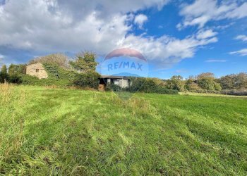 Giardino - Terreno edificabile Via Poggio Della Torre, Manziana - foto 7