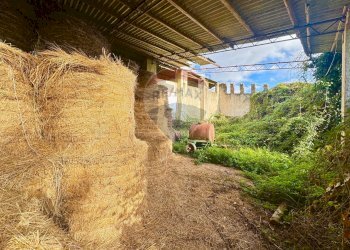 Terrazza - Terreno edificabile Via Poggio Della Torre, Manziana - foto 9