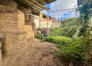 Giardino - Terreno edificabile Via Poggio Della Torre, Manziana - foto 13