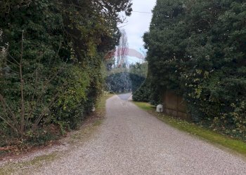 Giardino - Locale Commerciale Vigarano Mainarda - foto 34