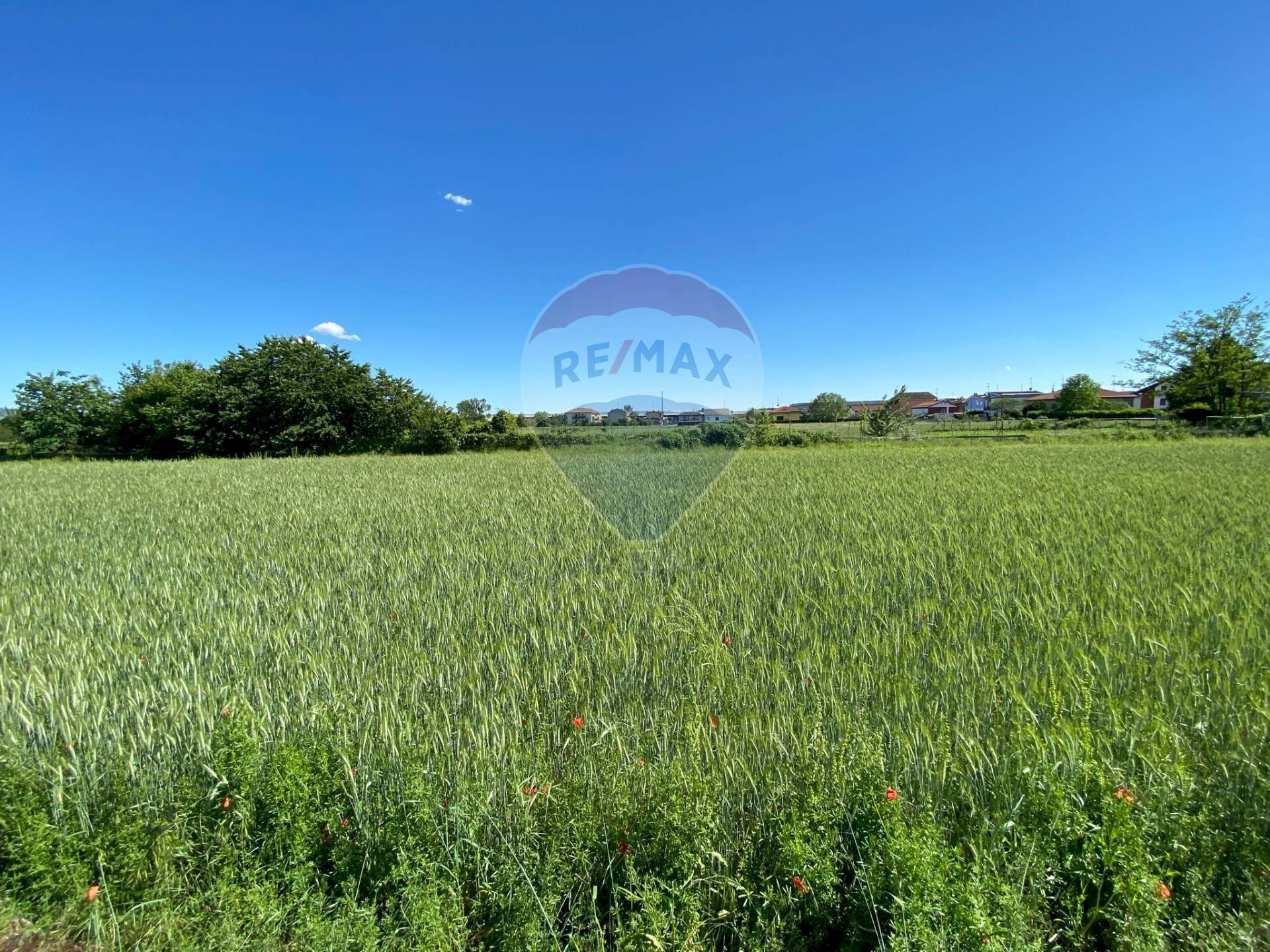 Giardino - Terreno edificabile via monsignor angiolo gambaro, Galliate - foto 2