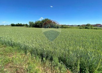 Giardino - Terreno edificabile via monsignor angiolo gambaro, Galliate - foto 7