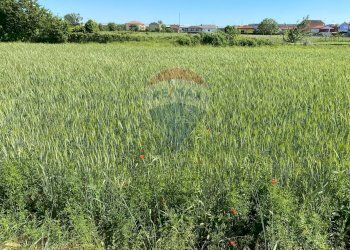 Giardino - Terreno edificabile via monsignor angiolo gambaro, Galliate - foto 8