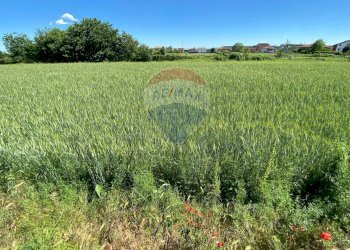 Giardino - Terreno edificabile via monsignor angiolo gambaro, Galliate - foto 9